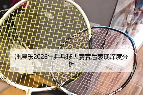 pan-zhan-le-nian-ping-pang-qiu-da-sai-sai-hou-biao-xian-shen-du-fen-xi-2-281.jpg